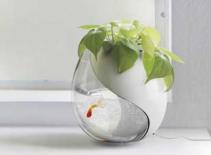 Phụ kiện thư giãn nơi công sở