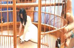 Khổ vì được chồng… yêu