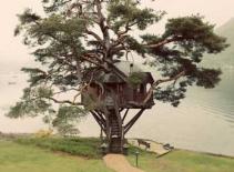 Lạ mắt những ngôi nhà... trên cây
