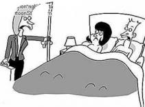 Bị "cắm sừng" vì... con ngựa