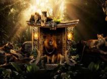 Quảng cáo vui về loài vật