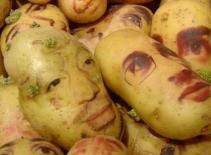 Thích thú với búp bê khoai tây