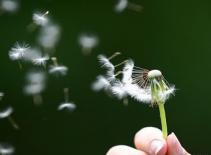 Có nên nói sự thật quá khứ?