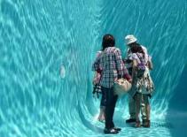 Bể bơi "chơi khăm"