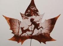 Chiêm ngưỡng những chiếc lá "kỳ diệu"