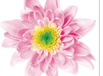 "Phút 89" của hôn nhân  