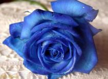 Có nên chờ đợi?