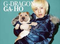 Sao Hàn và những "người bạn" bốn chân đáng yêu (P2)