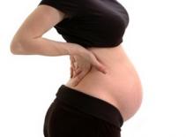 Băng cướp 46 bà bầu sa lưới