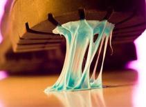 Những luật lệ lạ đời nhất thế giới