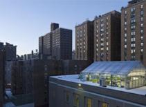 “Làm ruộng” trên nóc nhà New York