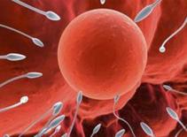 Vitamin D giúp “tinh binh” khoẻ mạnh hơn