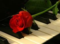 Tôi yêu cả 3 chàng trai và họ đều biết nhau