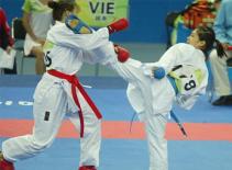 Việt Nam dẫn đầu lứa tuổi vô địch giải Karatedo Hàn Quốc 2011