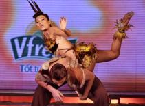 Bước nhảy Hoàn vũ: Nghi vấn Thu Minh "đạo" ý tưởng bài thi