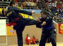 Việt Nam tham dự giải Pencak Silat Đông Nam Á lần IV- 2011