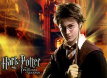 Harry Potter và những con số thú vị suốt chặng đường 10 năm
