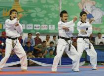 Taekwondo Việt Nam tham dự giải vô địch quyền thế giới lần 6-2011