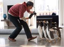 Jim Carrey khốn đốn với bầy cánh cụt