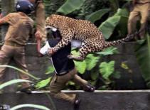 Những hình ảnh ấn tượng thế giới tuần 18-24/07