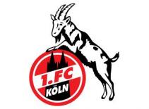 1. FC Köln - Những chú dê