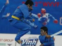 Việt Nam vô địch toàn đoàn giải Vovinam thế giới lần 2-2011