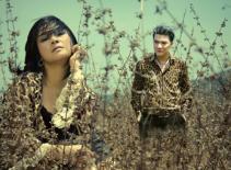 Đàm Vĩnh Hưng - Thanh Lam: Sắt son thôi không đủ