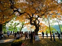 Xao xuyến mùa thu Hà Nội