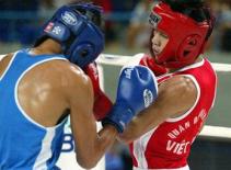 Giải quyền anh nam toàn quốc 2011: Căng thẳng vòng bán kết