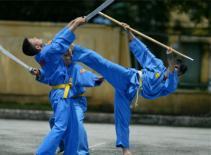 Vovinam trên đường quốc tế hóa