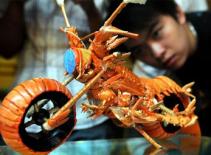 Đầu bếp Đài Loan chế motor từ tôm hùm 