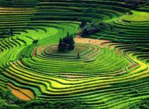 Vẻ đẹp Việt Nam trên báo chí quốc tế