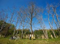 Những thước phim cực đỉnh của màn ảnh Việt