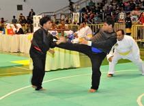 Pencak silat phấn đấu vào tốp dẫn đầu Giải VĐQG 2011.