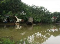 Nghệ An: Nước lũ tiếp tục dâng cao, nhấn chìm nhiều nhà dân 