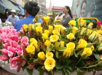 Hoa trên phố - vẻ đẹp thường ngày