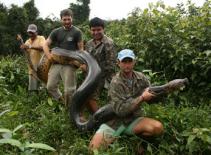 Bắt được trăn khổng lồ dài 5m, nặng 1 tạ