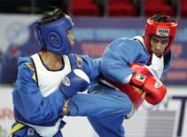BTC SEA Games 26 làm việc với Liên đoàn Vovinam thế giới