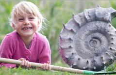Bé gái 5 tuổi đào được vỏ ốc 160 triệu năm 