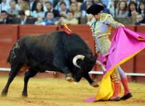 Trận đấu bò tót cuối cùng ở xứ Catalonia