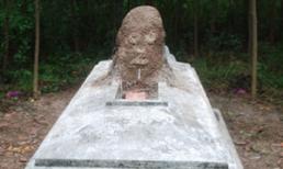 Dân lại đổ xô đi xem tổ mối hình đầu người