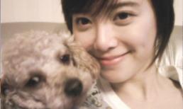 Sao Hàn đọ thú cưng  