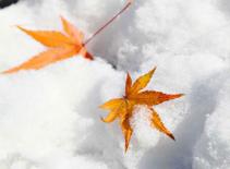 Mối tình “người nhỡ”