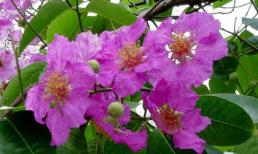 Thứ năm của bạn (12/1)