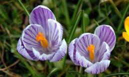 Thứ sáu của bạn (13/1)