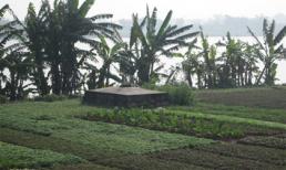 Đôi trai gái chết trôi sông 'đòi' được chung mồ, xây mộ?