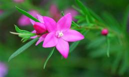 Tuần mới của bạn (16/1 - 22/1)