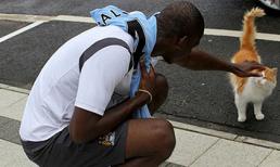 Balotelli yêu chiều động vật