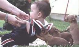 Tranh vui: Sang năm có thấy cảnh này?