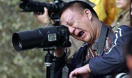 Tranh vui: Nhìn là cười